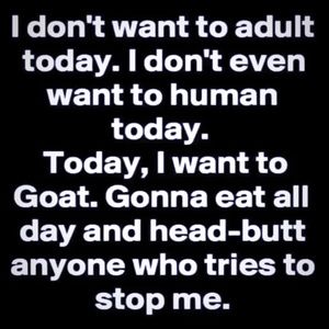 Some days, it just is